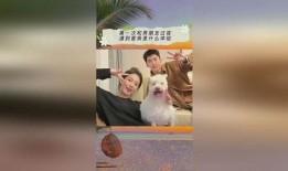 吃瓜娱乐的声音在哪里找,吃瓜娱乐声音的来源与传播途径